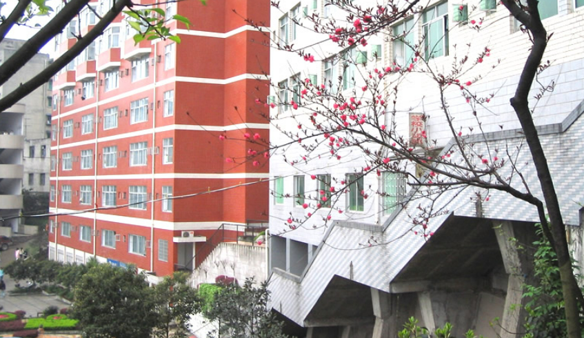 重庆微电子工业学校
