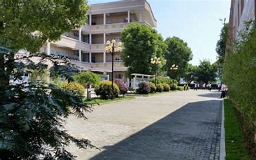 OIP-C