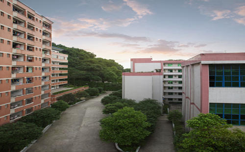 重庆南丁卫生职业学校