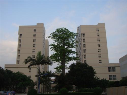 德阳川江机电职业学校