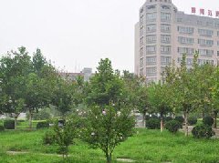 石家庄博信科技中等专业学校