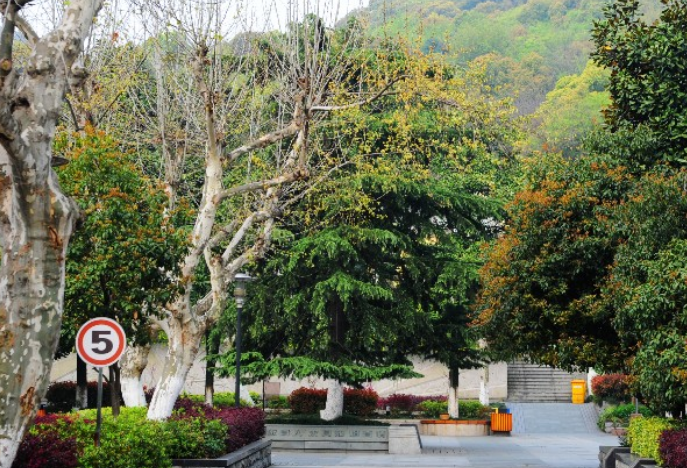 杭州美术职业学校2023年报名条件