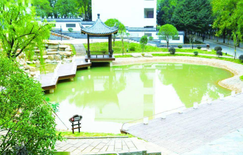 富阳学院2023年招生计划