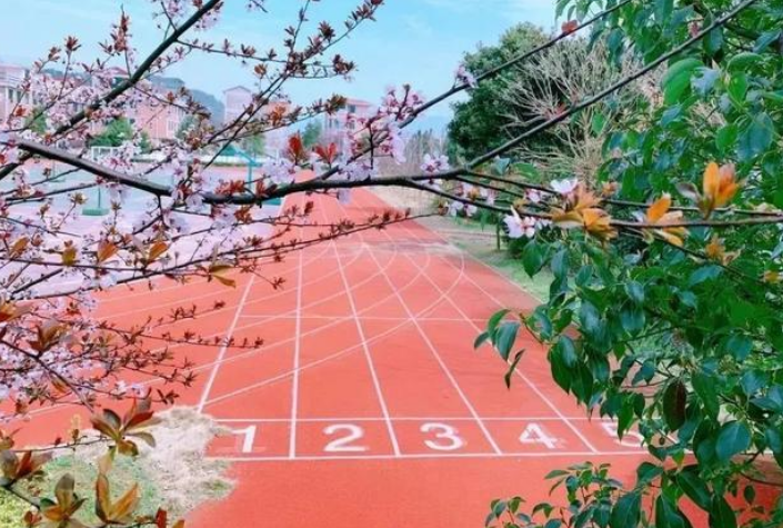 杭州良渚职业高级中学2023年报名条件