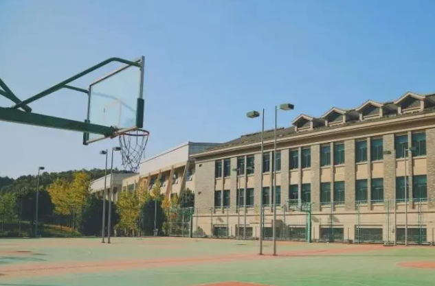浙江特殊教育职业学院五年制大专2023年录取分数线