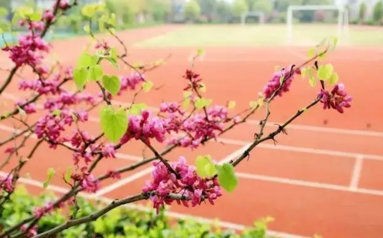 慈溪市卫生进修学校2023年录取分数线