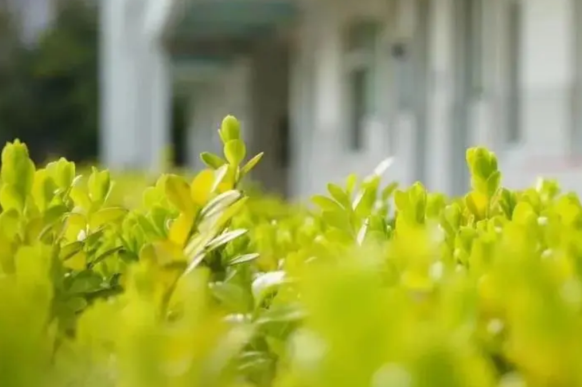 北仑职业高级中学2023年报名条件