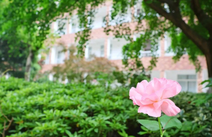 慈溪市卫生进修学校2023年学费