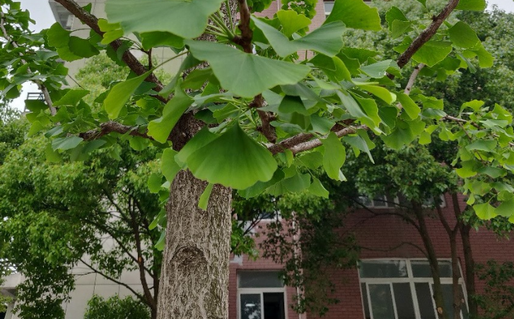 绍兴园艺学校2023年学费