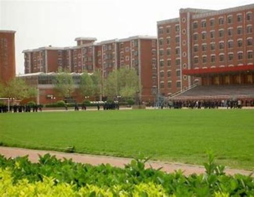 石家庄外语翻译学院怎么样