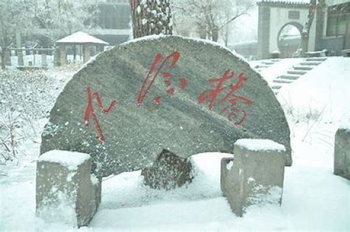 无极野风美术职业中学怎么样