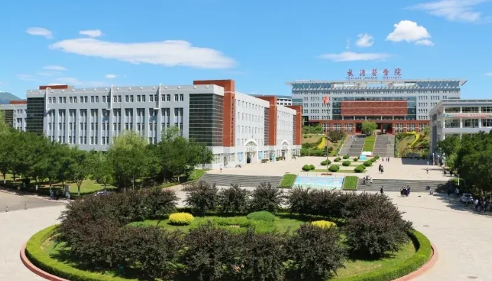 承德卫生学校2024年招生计划(2025参考)