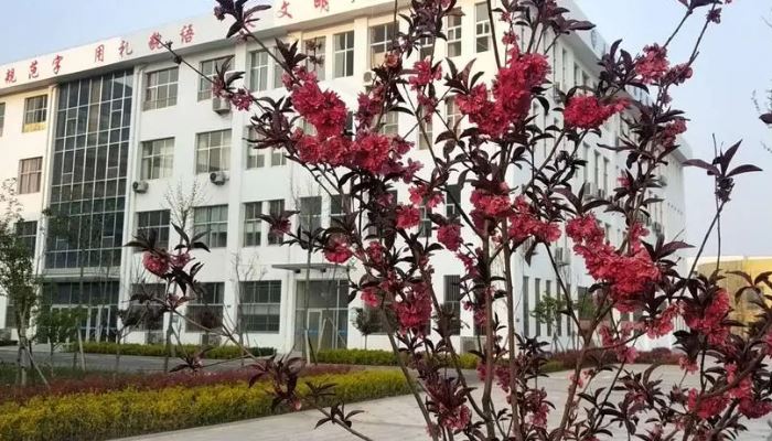 石家庄方正信息技术中等专业学校2024年招生简章(2025参考)