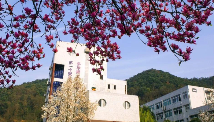 富阳学院2024年录取分数线(2025参考)
