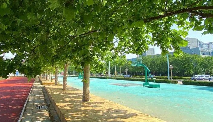 东阳市供销学校2024年录取分数线(2025参考)