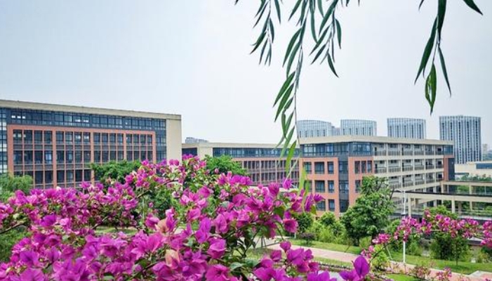 绍兴财经旅游学校2024年录取分数线(2025参考)