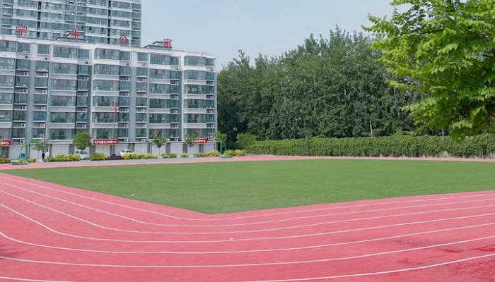 石家庄美术职业学校2024年录取分数线(2025参考)