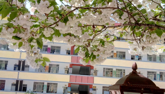 邢台工业学校2024年录取分数线(2025参考)
