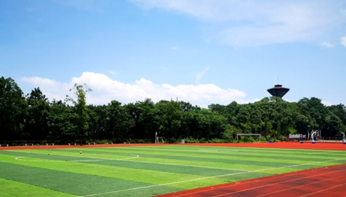 衡水衡沧影视武术艺术学校2024年学费(2025参考)
