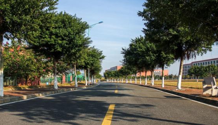 秦皇岛燕成中等专业学校2024年录取分数线(2025参考)
