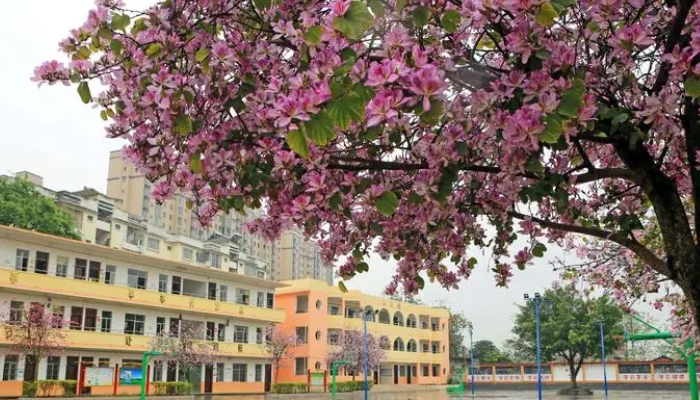 石家庄广播电视中等专业学校2024年录取分数线(2025参考)