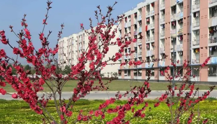沙河卫生学校2024年学费(2025参考)