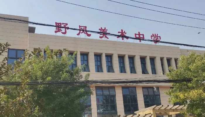无极县野风美术中学2024年录取分数线(2025参考)