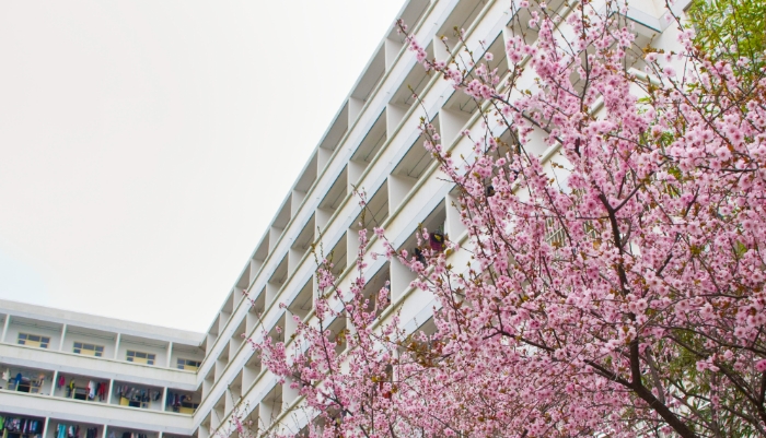 南京工程高等职业学校学费