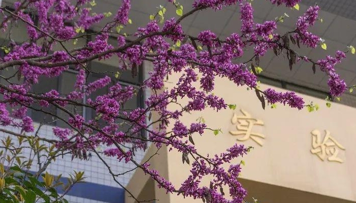 邢台工业学校2024年开设哪些专业(2025参考)