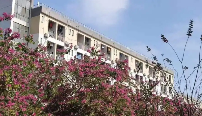 2025年广东茂名幼儿师范专科学校收费情况