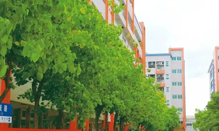 2025年东莞市科创技工学校收费情况