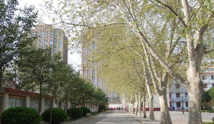 许昌工商管理学校2025年招生简章