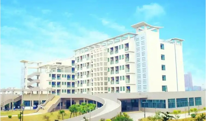 2025年佛山体育运动学校收费情况
