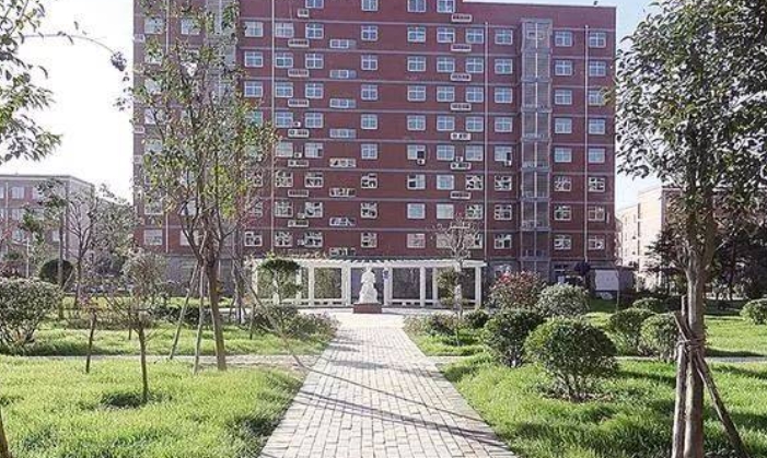 2025年淮阳职业中等专业学校收费情况