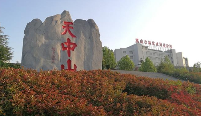 2025年嵩山少林武术职业学院收费情况
