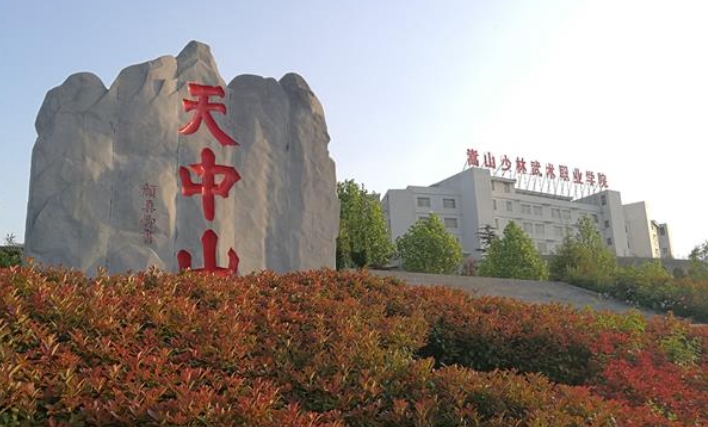 2025年嵩山少林武术职业学院报名条件、招生要求、招生对象