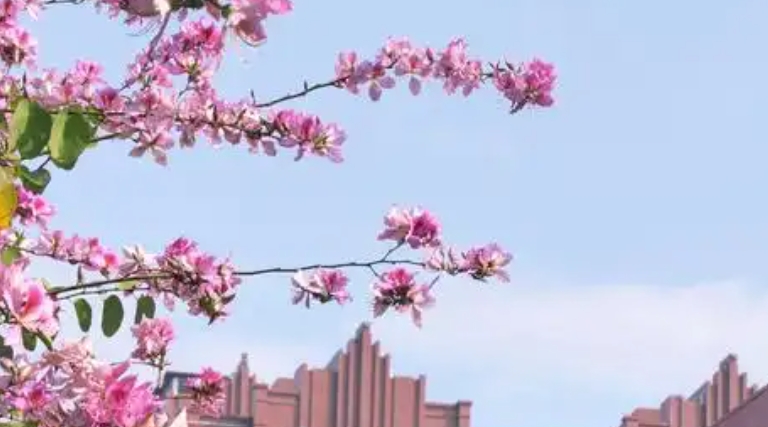 2025年潮州技师学院录取分数线