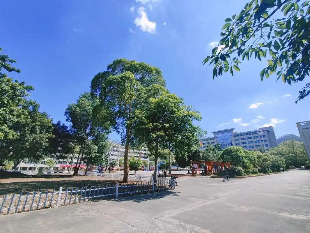 2025年潮州农业学校录取分数线