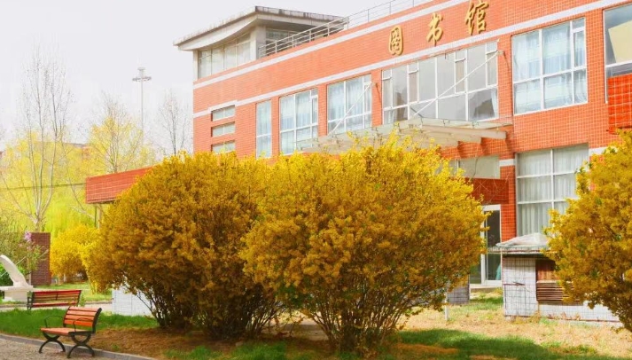 2025年河北女子职业技术学院录取分数线
