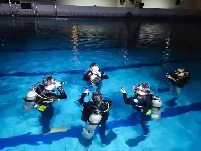 2025年广州潜水学校录取分数线