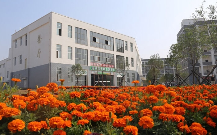 2025年三门峡社会管理职业学院录取分数线