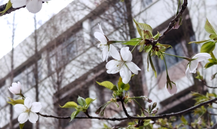 2025年信阳卫生学校录取分数线