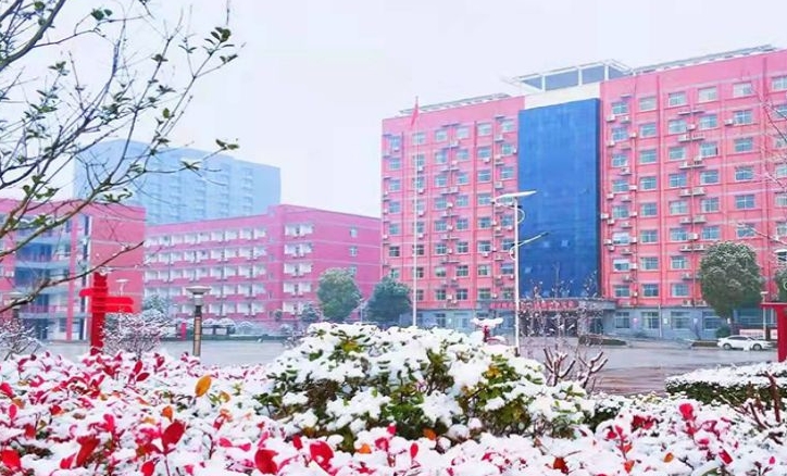 2025年淮阳职业中等专业学校录取分数线