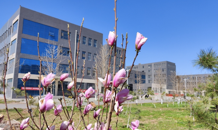 石家庄现代医学中等专业学校是公办还是民办