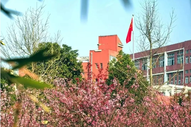 丹阳吕风子职业技术学校2025年招生计划