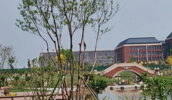 郑州科技学院音乐学专业