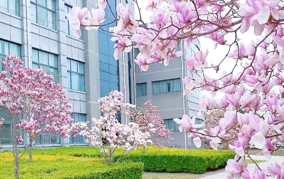 石家庄现代医学中等专业学校口腔医学专业