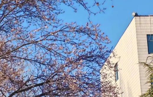 郑州科技学院土木工程专业