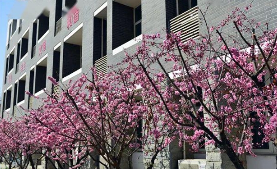 石家庄现代医学中等专业学校护理学专业