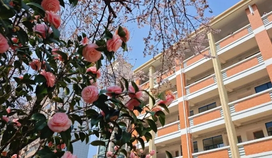 丹阳吕风子职业技术学校电子商务专业